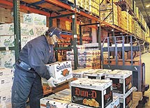 Взлёт популярности голосовых технологий