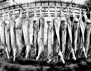 В России запрещено английское мясо